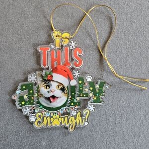Is This Jolly Enough? Holiday Cat Ornament